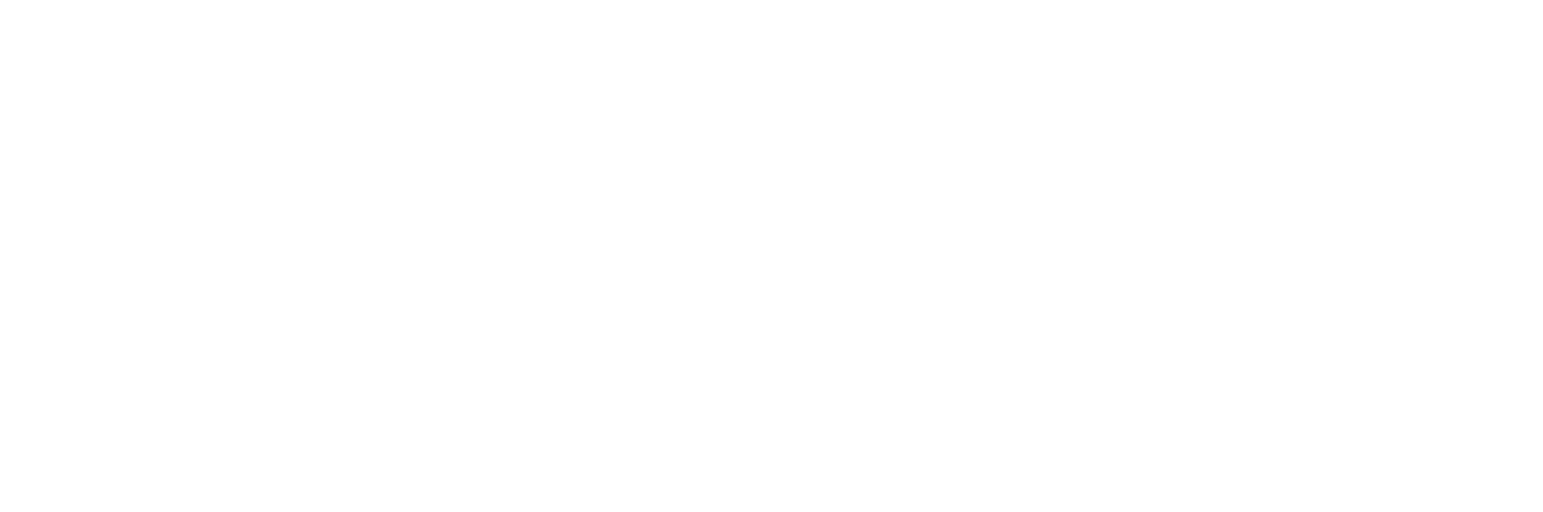 Connect Professional Logo